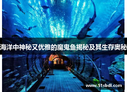 海洋中神秘又优雅的魔鬼鱼揭秘及其生存奥秘 海洋中神秘又优雅的魔鬼鱼揭秘及其生存奥秘