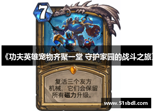 《功夫英雄宠物齐聚一堂 守护家园的战斗之旅》