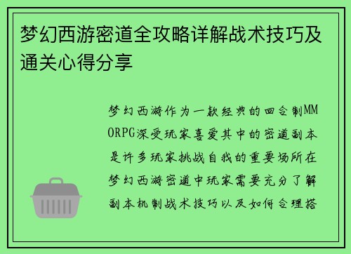 梦幻西游密道全攻略详解战术技巧及通关心得分享